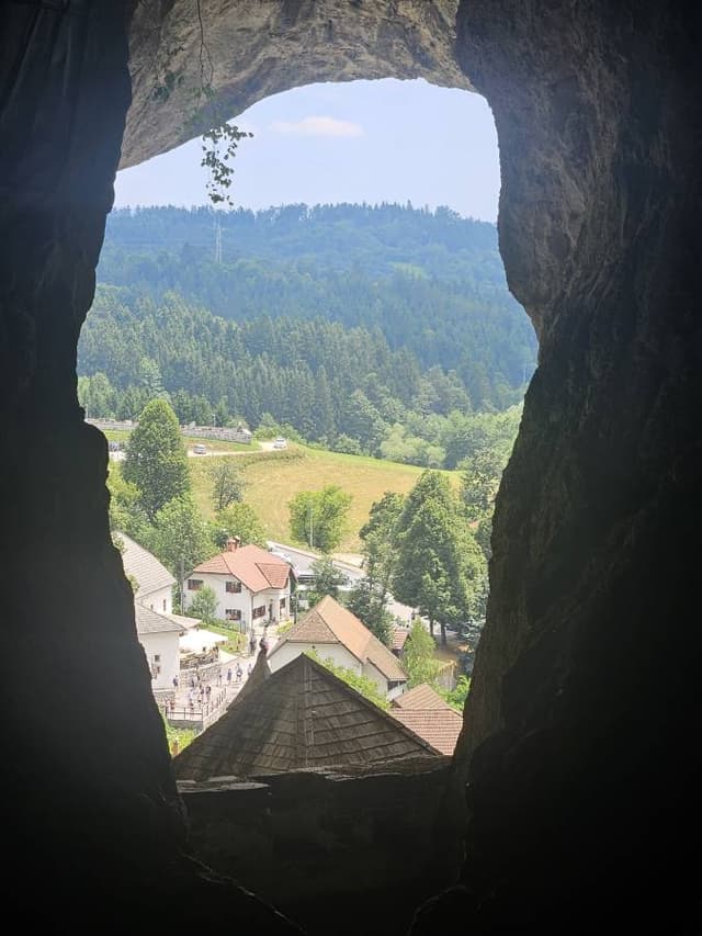 Photo 4 by Leonid O. (7/31/24)