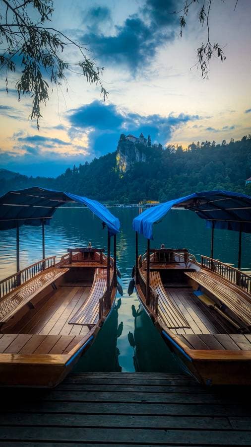 Photo 6 by Dean M. (7/26/24)