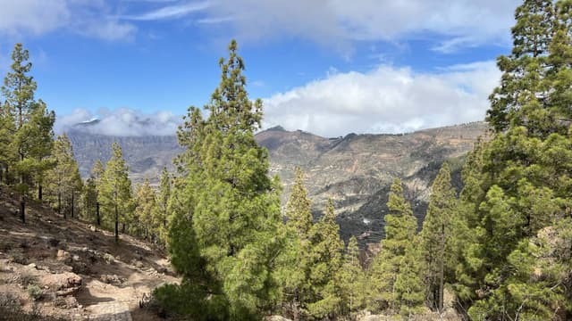 Photo 2 by HENRIK BEDSTED C. about renting a Renault Clio in Gran Canaria (11/4/24)