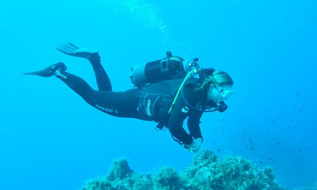 Photo by Simon D. (10/2/25)