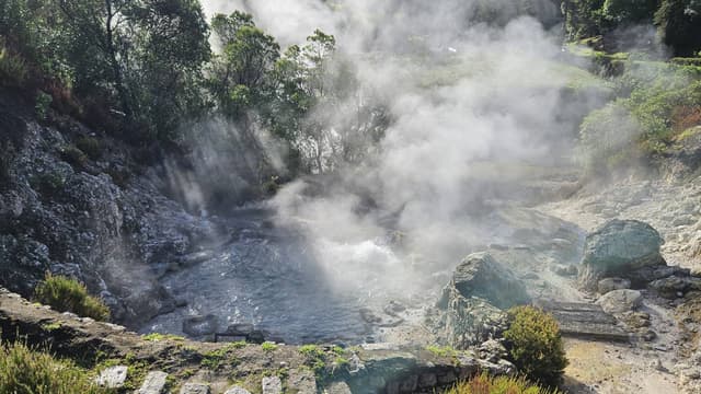 Photo 9 by Isabella V. (10/30/24)