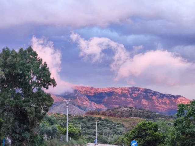 Фото 5 от Olha Y. об аренде Hyundai i10 в Тиране (03.06.24)