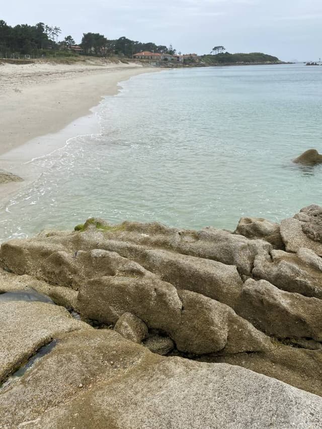 Photo 7 by WILMER L. (6/18/24)