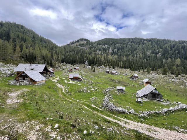 Photo 5 by Ah Ker K. (12/13/23)