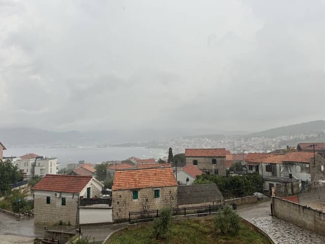 Photo 3 by Elvira M. (8/1/24)