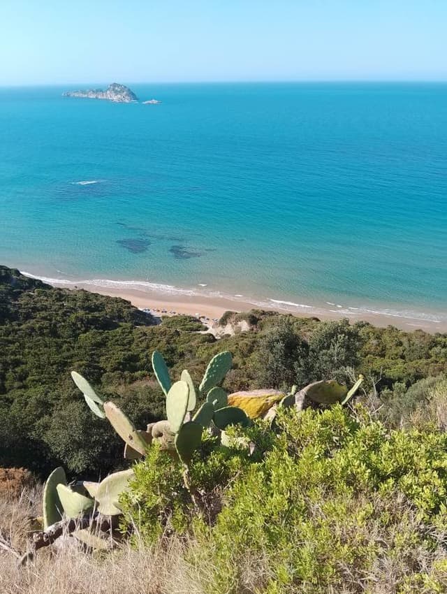 Photo 3 by Archie L. (9/15/25)