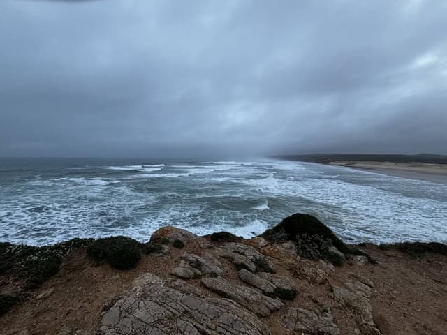 Photo by Shelley K. (2/3/26)