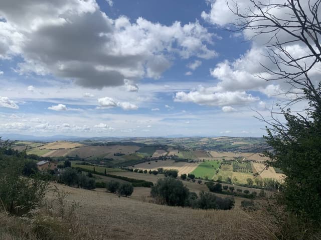 Foto 3 di andrea S. (13/08/25)