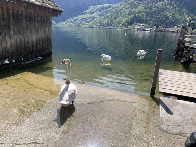 Photo 7 by Orly E. (4/15/24)