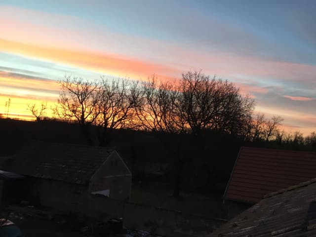 Photo 7 by PATRICIA I. (11/17/23)