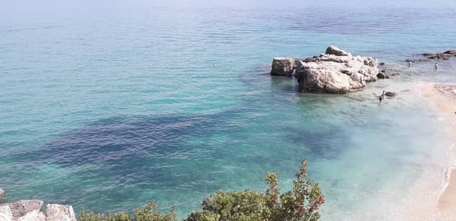 Photo 2 by Vasile E. (10/15/23)