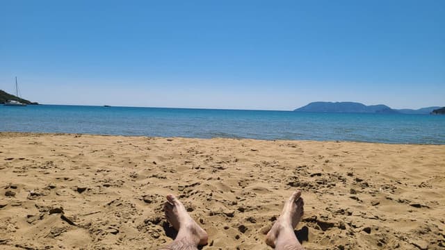 Photo 2 by Reza B. (5/3/24)