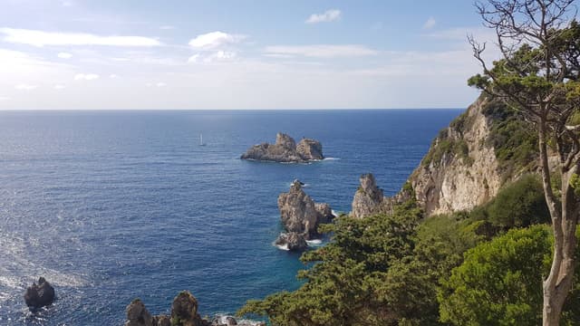 Photo 6 by Roman K. (10/20/23)