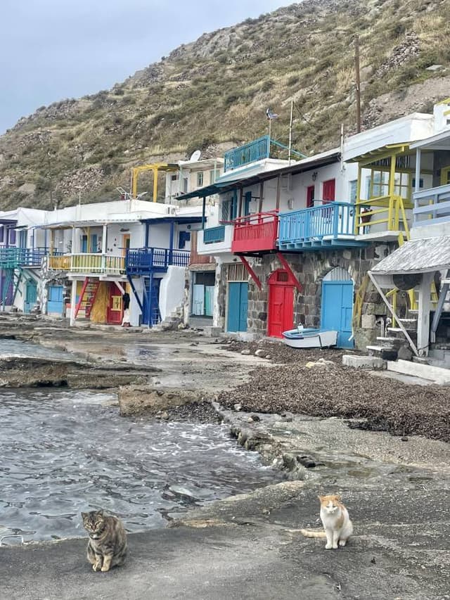 Photo by Corrina D. (4/15/23)