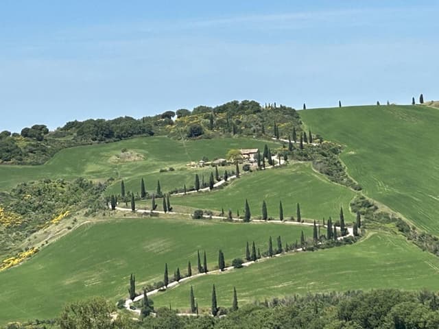 Photo 3 by Noel L. about hiring a Volkswagen Taigo at Florence Airport (02/06/25)