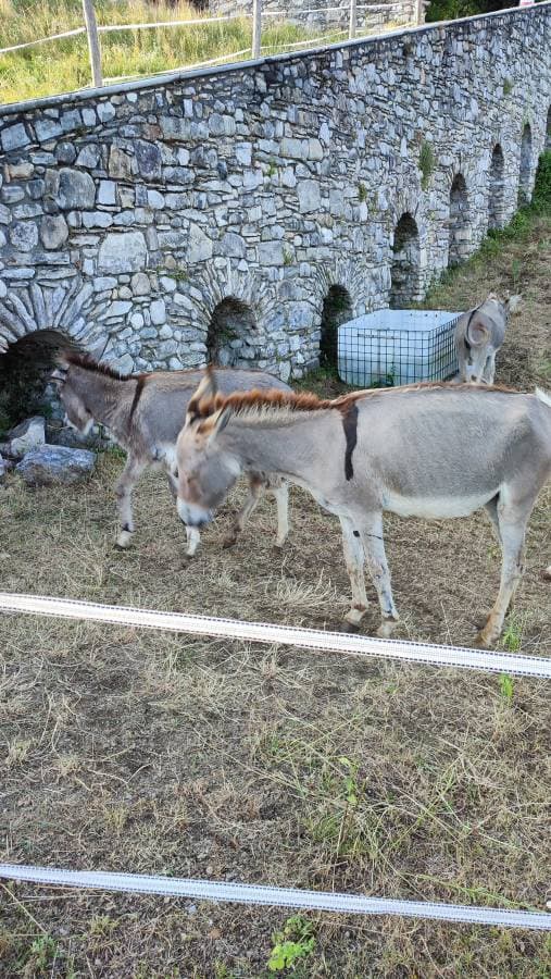 Фото от Iryna Z. (06.07.25)