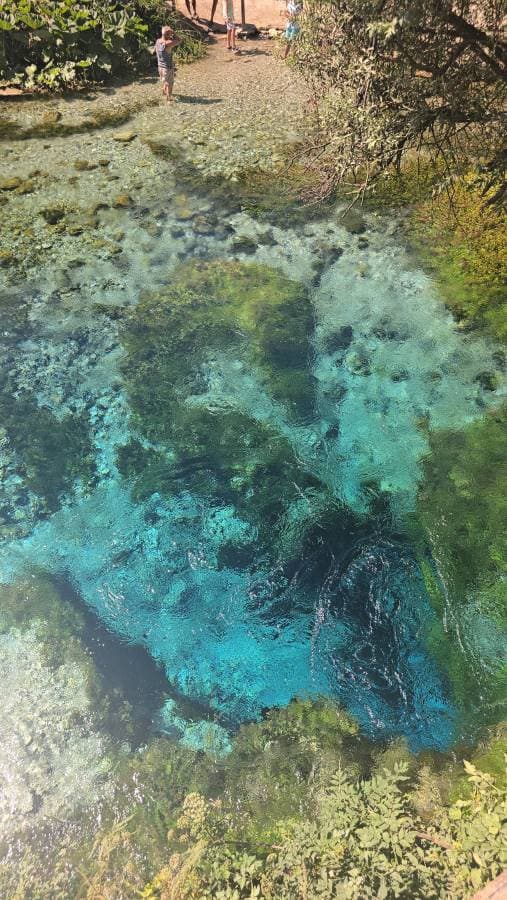 Billede 5 af Lasse K. (7.9.25)