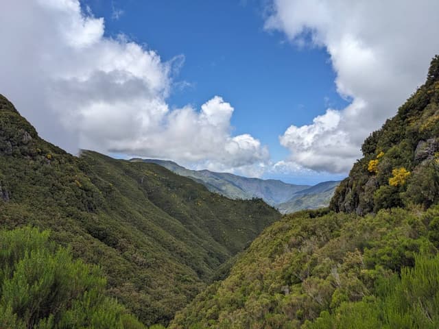 Photo 2 by Srdjan J. (6/9/24)