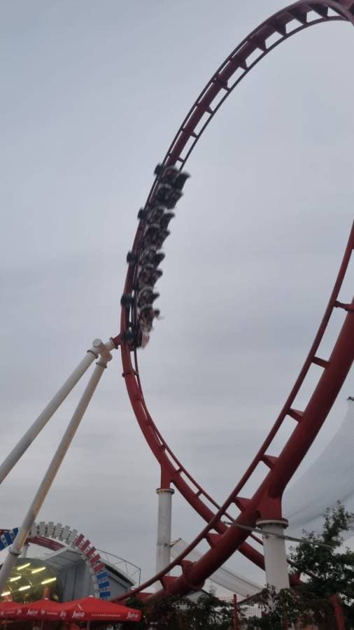 Photo 5 by Laura S. (8/13/24)