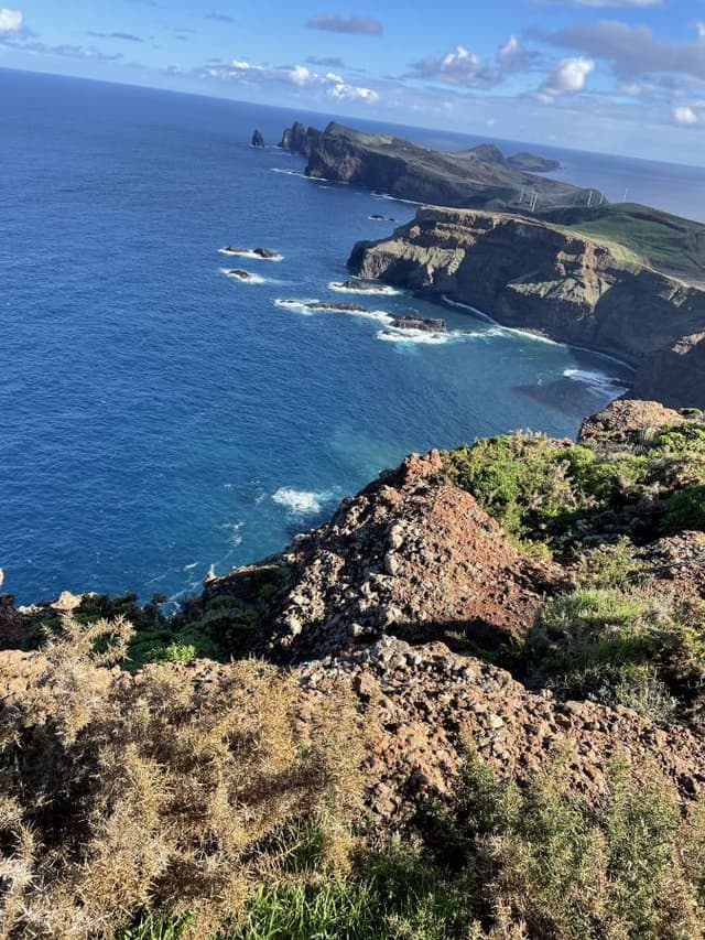 Photo 2 by Niels F. (12/15/24)