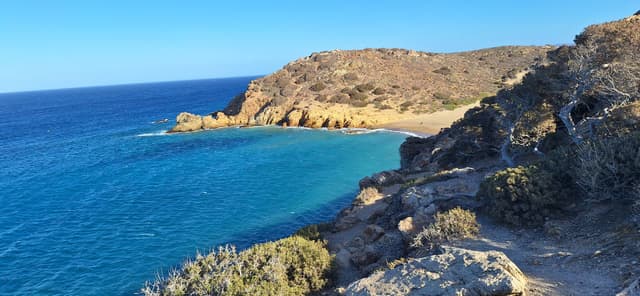 Photo 3 by Pieter H. (9/26/25)