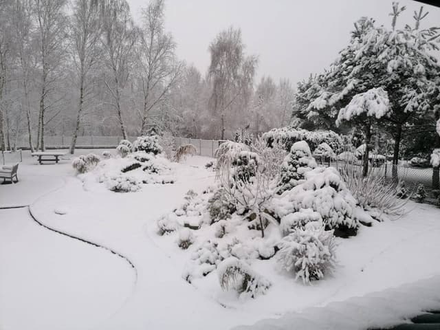 Photo 7 by Pawel W. (12/30/23)