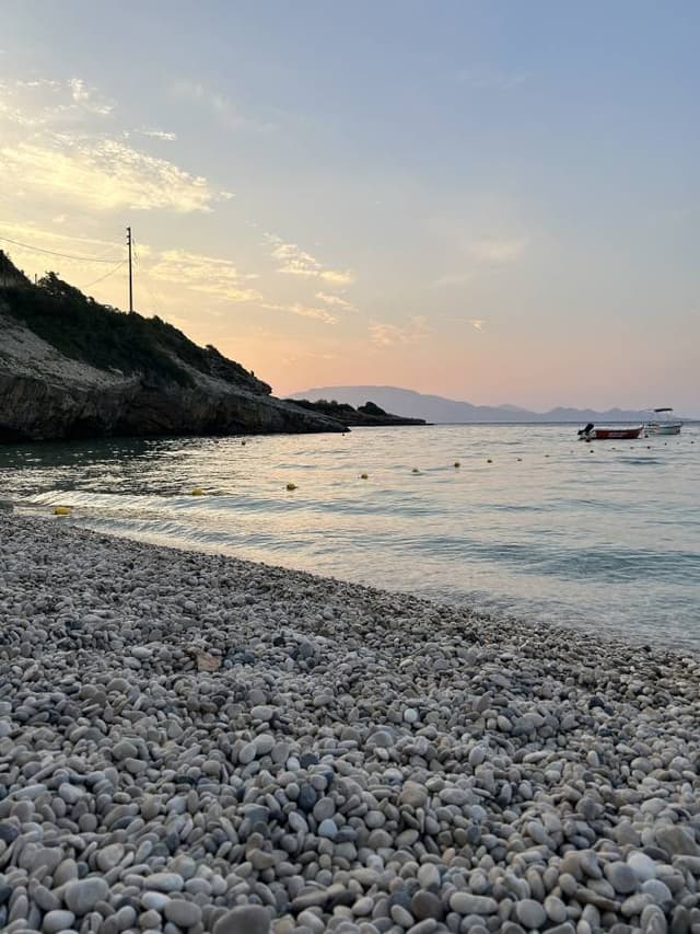 Photo 1 by Claire D. (7/17/24)