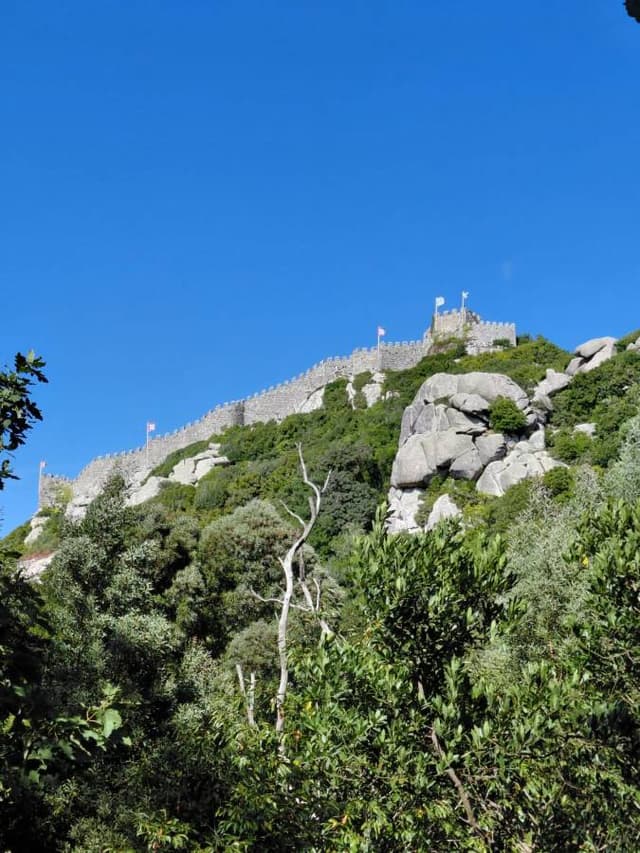 Foto 3 di Federico C. (31/08/25)