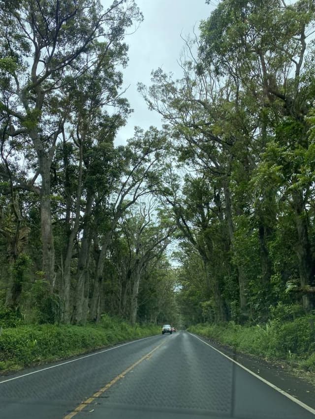 Photo 4 by Laura D. (6/2/25)