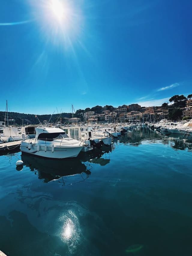 Photo 7 by Pawel K. (6/7/24)