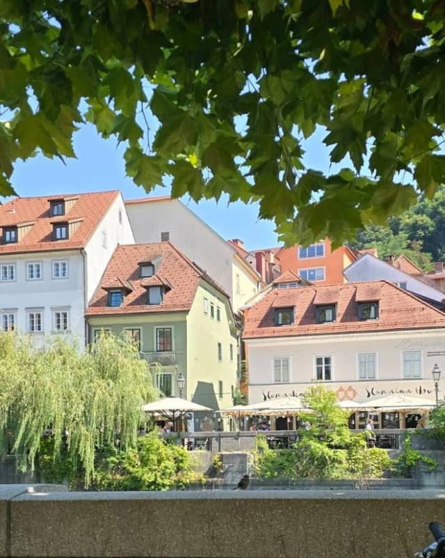 Photo 16 by Kerry B. about renting a Toyota Corolla STW in Zagreb (9/5/24)