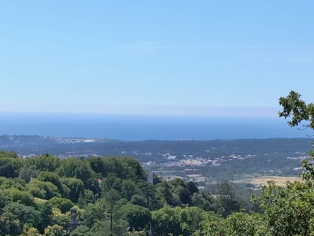 Photo 18 by Stefan C. (6/18/26)