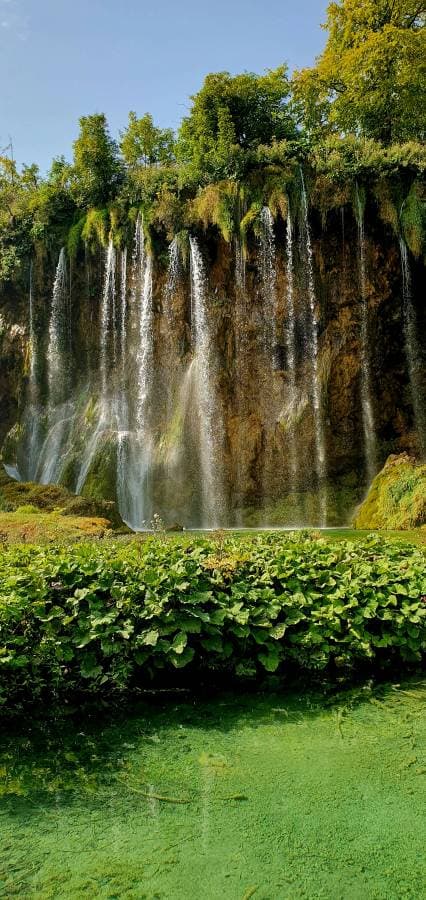 Photo 7 by Daniel P. about renting a Volkswagen Polo in Zagreb (8/25/24)