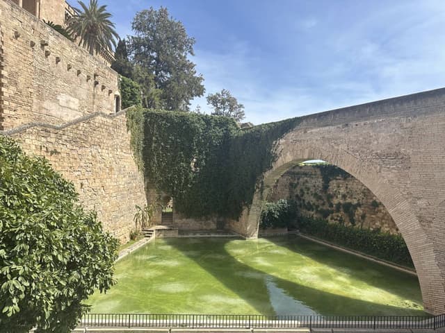 Photo 5 by Radostin Y. about renting a Peugeot 208 in Mallorca (4/7/24)