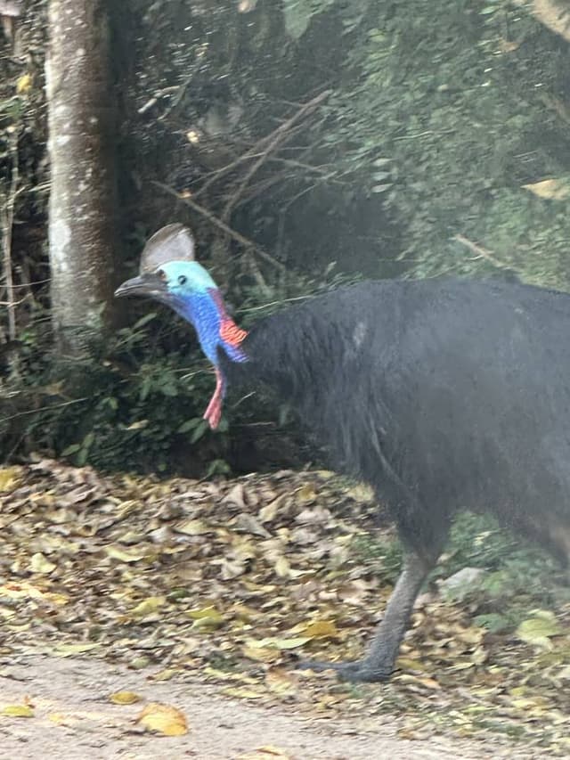 Photo 7 by Lilian M. (11/5/23)