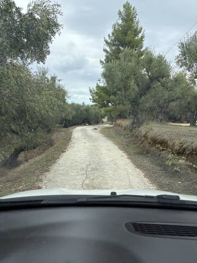 Photo 3 by Marius H. (10/12/25)