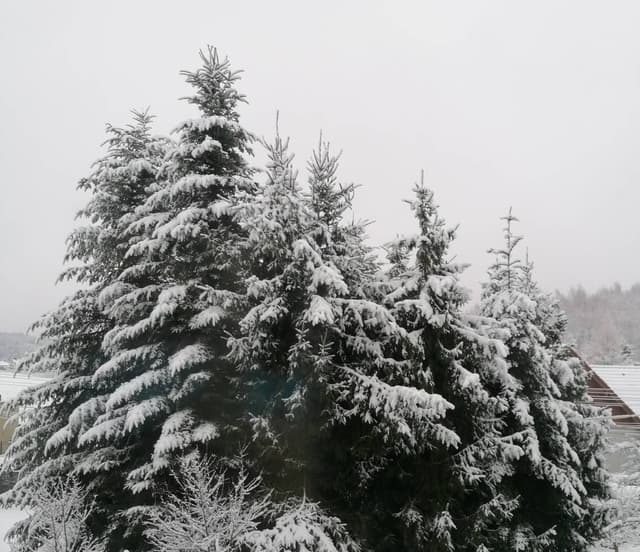 Photo 8 by Pawel W. (12/30/23)