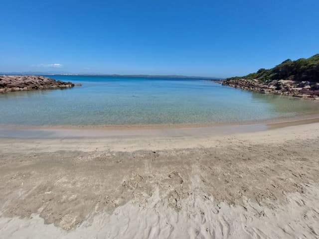 Foto 3 di MARIO NATALE D. (31/05/25)