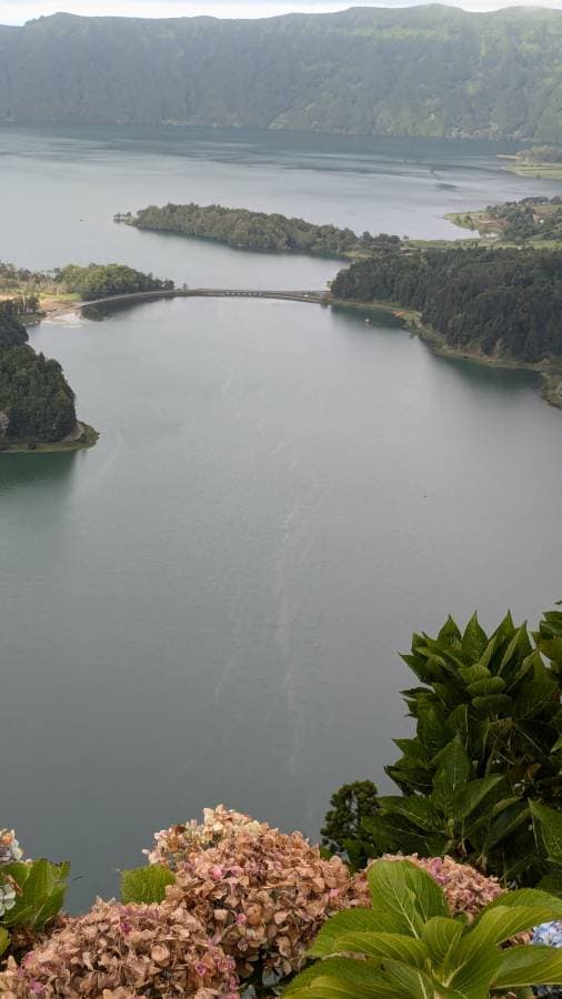 Photo 4 by Fernando B. (10/17/24)