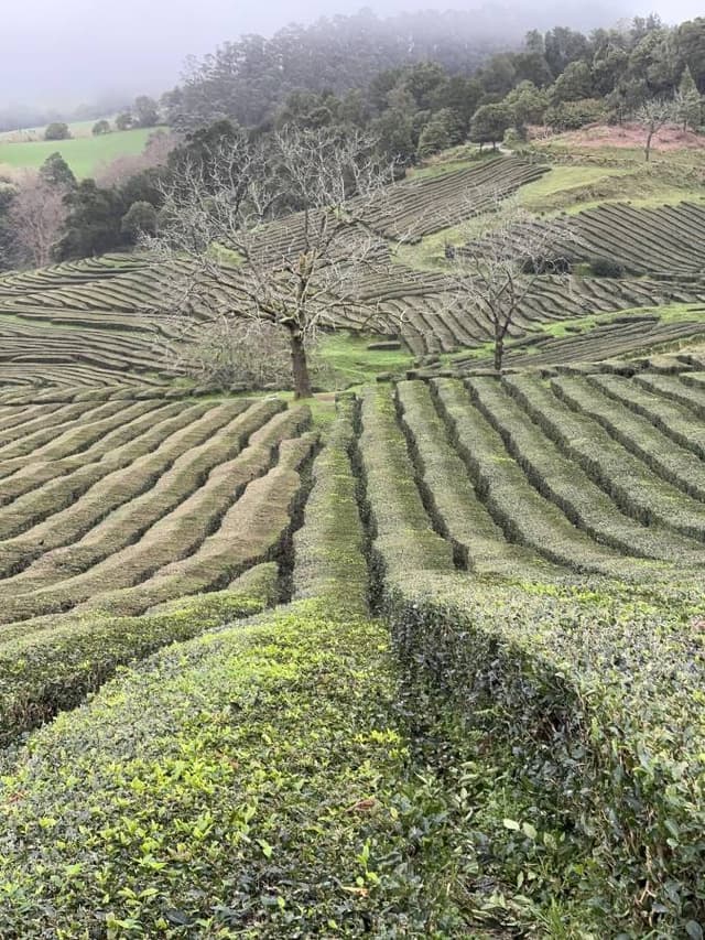 Photo 6 by patrick W. (1/25/26)