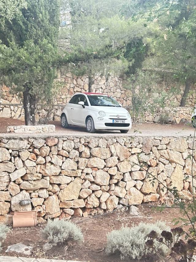 Photo 2 by Claire D. (7/17/24)