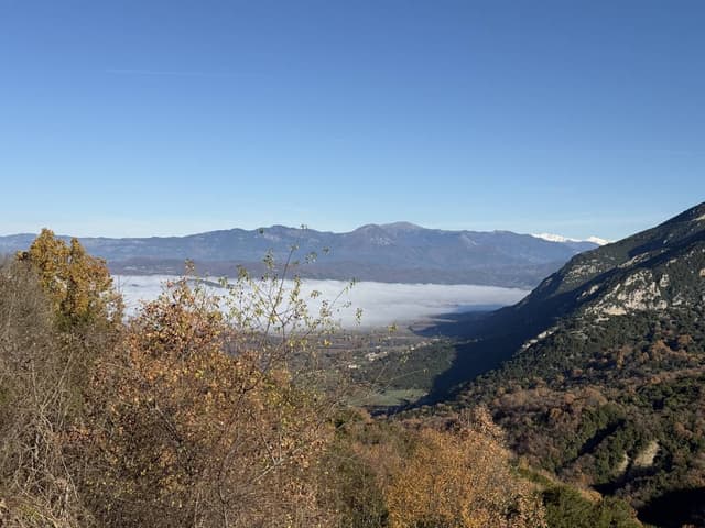 Фото от Igor L. (12.12.25)