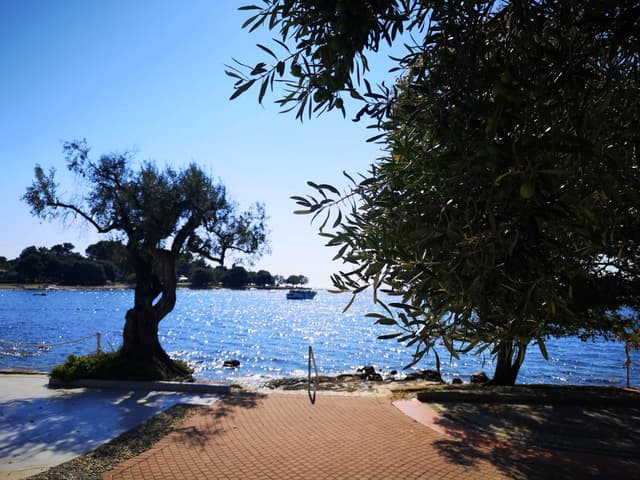 Photo 4 by Malcolm T. about hiring a Renault Clio in Pula (01/10/24)