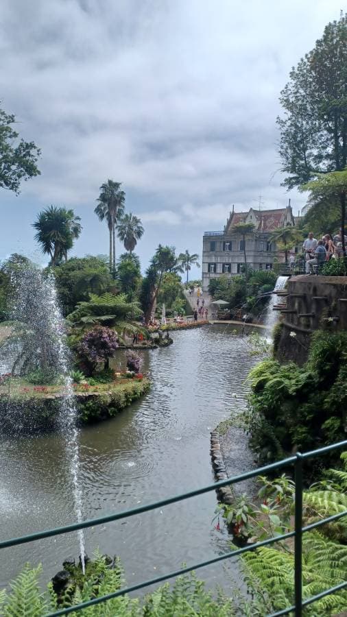 Photo 2 by CRAIG L. about hiring a Fiat 500X at Madeira Airport (Funchal) (08/07/25)