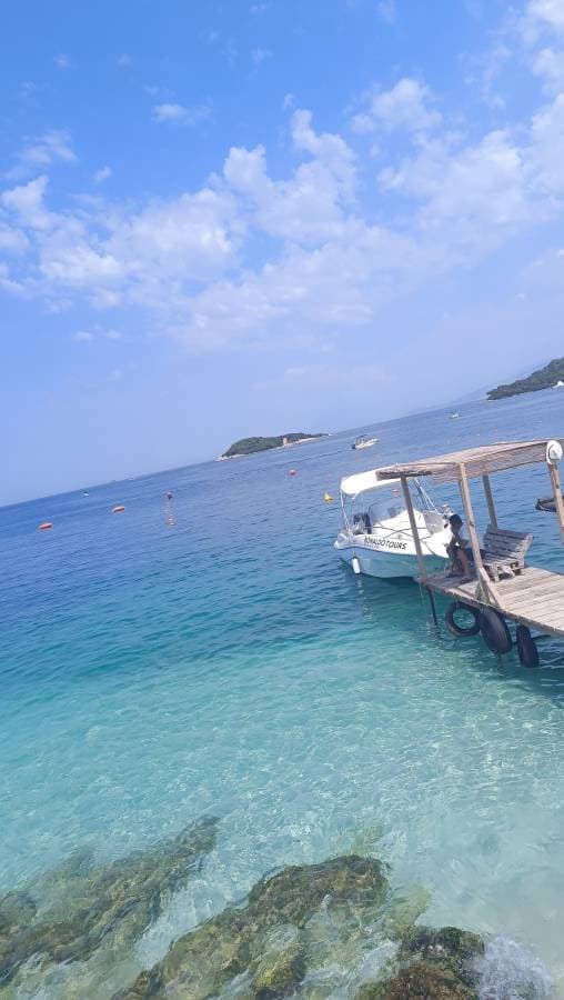 Фото 3 от Laura E. об аренде Volkswagen Polo в Тиране (01.09.24)