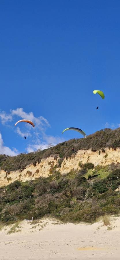 Foto 2 de Paula Cristina F. (01/04/25)