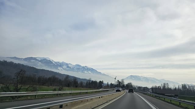 Photo 3 by Tatang W. (3/25/24)