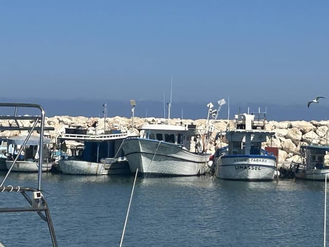 Photo 1 by gary R. about hiring a Suzuki Alto in Paphos (08.10.24)