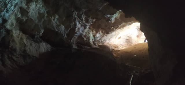 Photo 3 by Gregory K. (7/4/25)