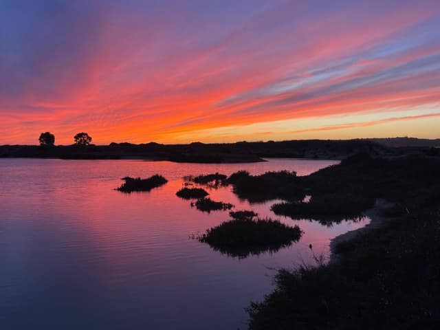 Photo 4 by Nicholas C. (11/14/25)